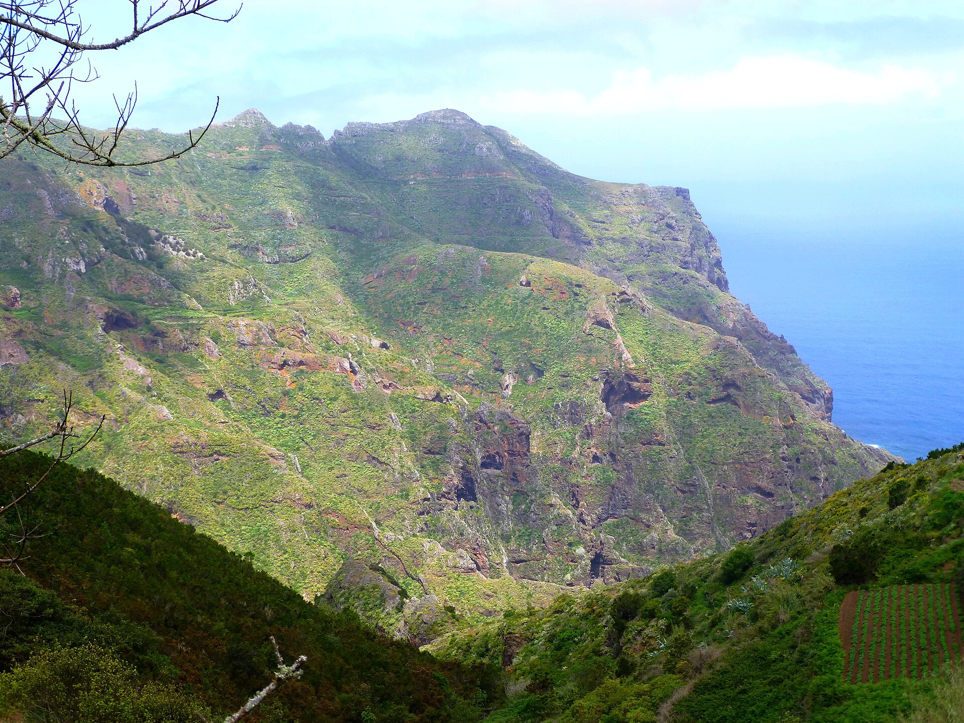 Paisaje de Afur, Santa Cruz de Tenerife, Tenerife, Islas Canarias