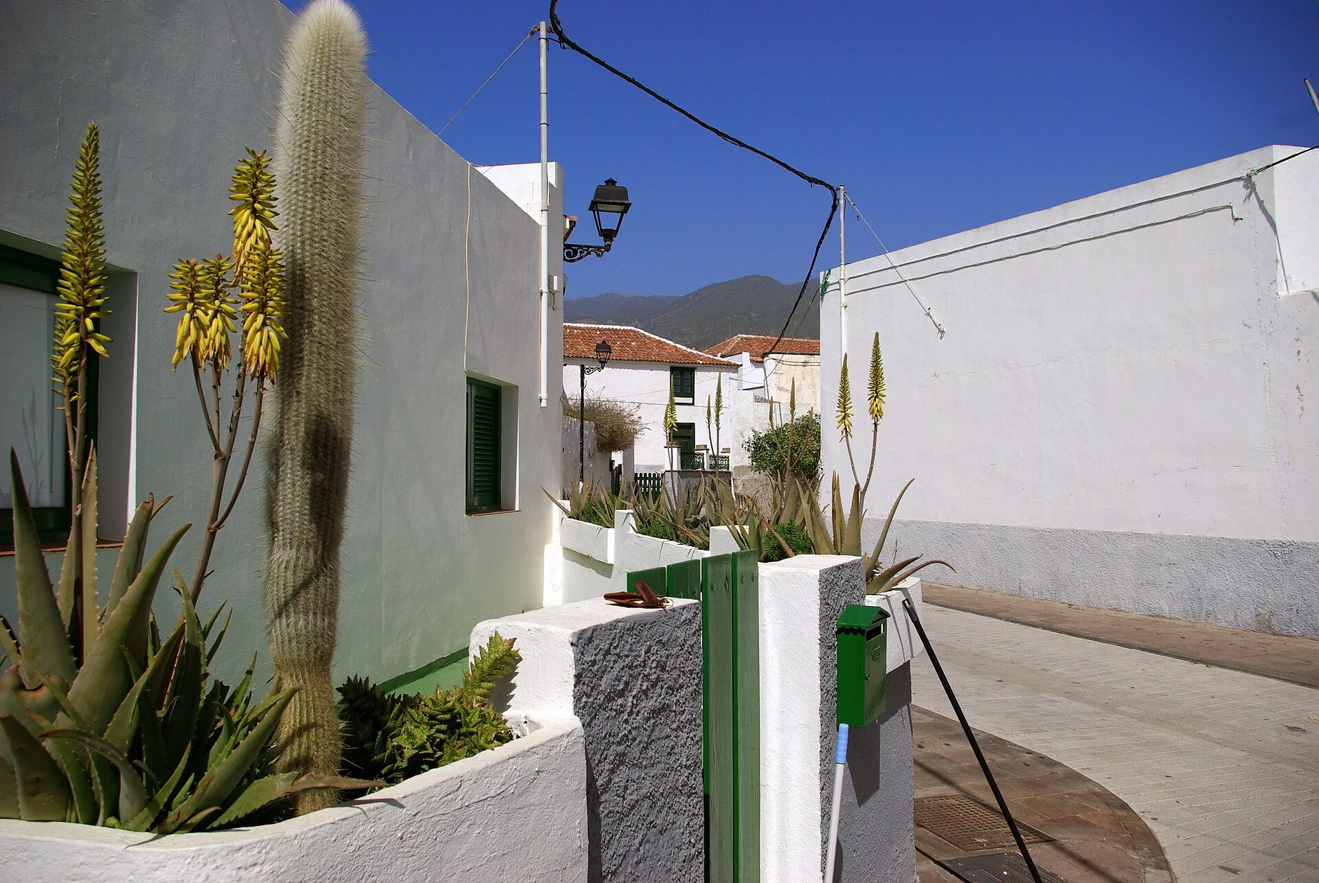 Paisaje de Arico el Nuevo, Arico, Tenerife, Islas Canarias