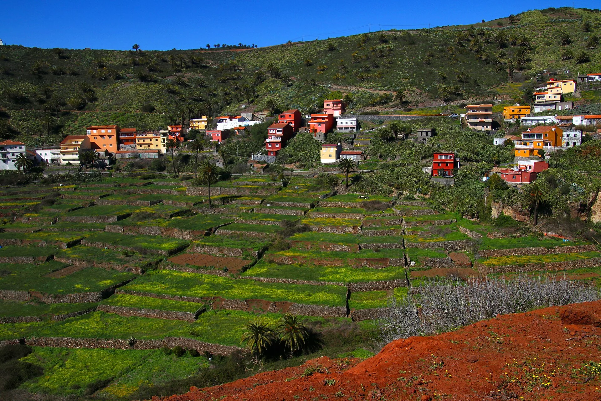 Paisaje de Arure, Valle Gran Rey, La Gomera, Islas Canarias