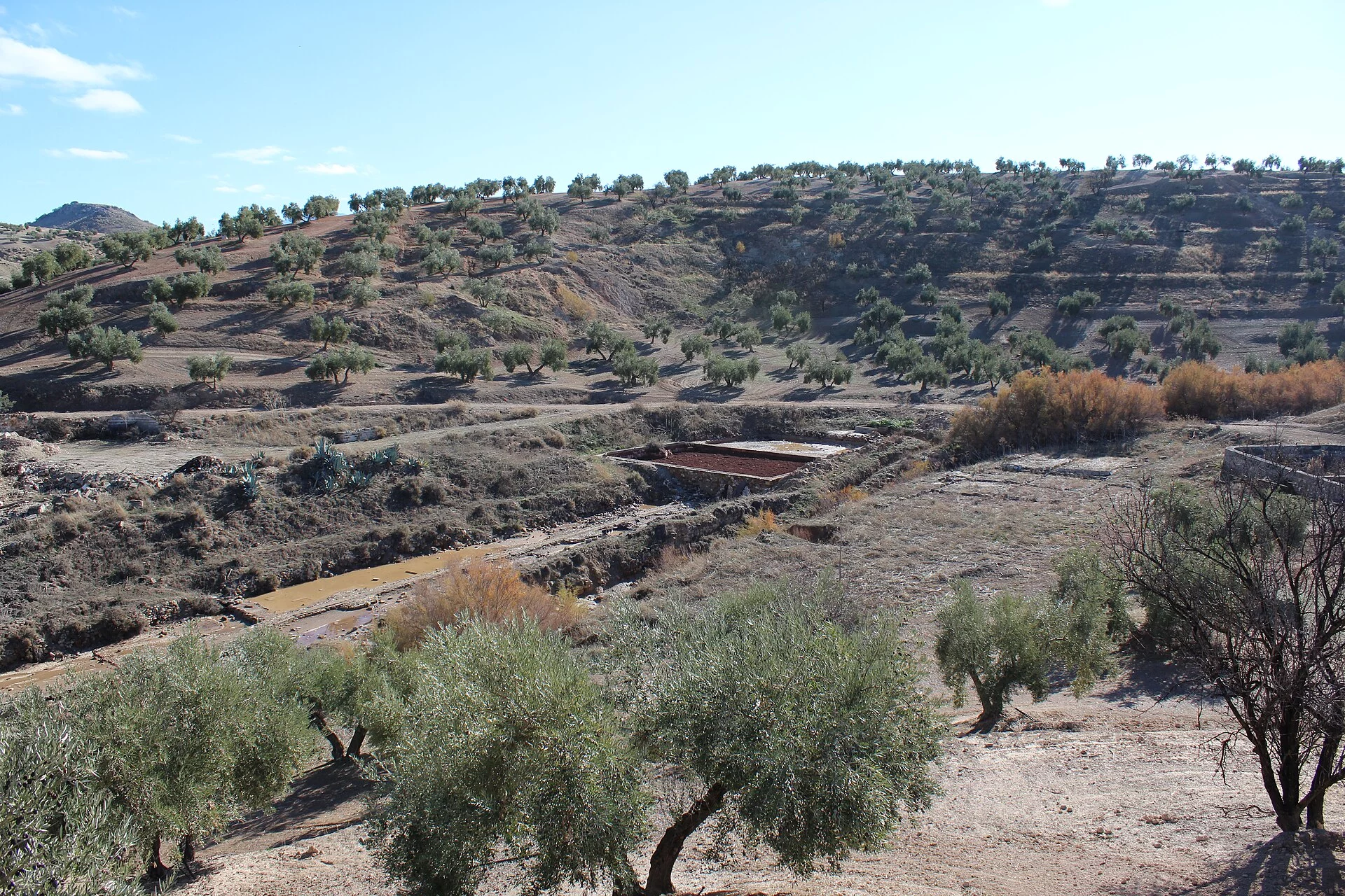 Paisaje de Barranco Hondo, Candelaria, Tenerife, Islas Canarias