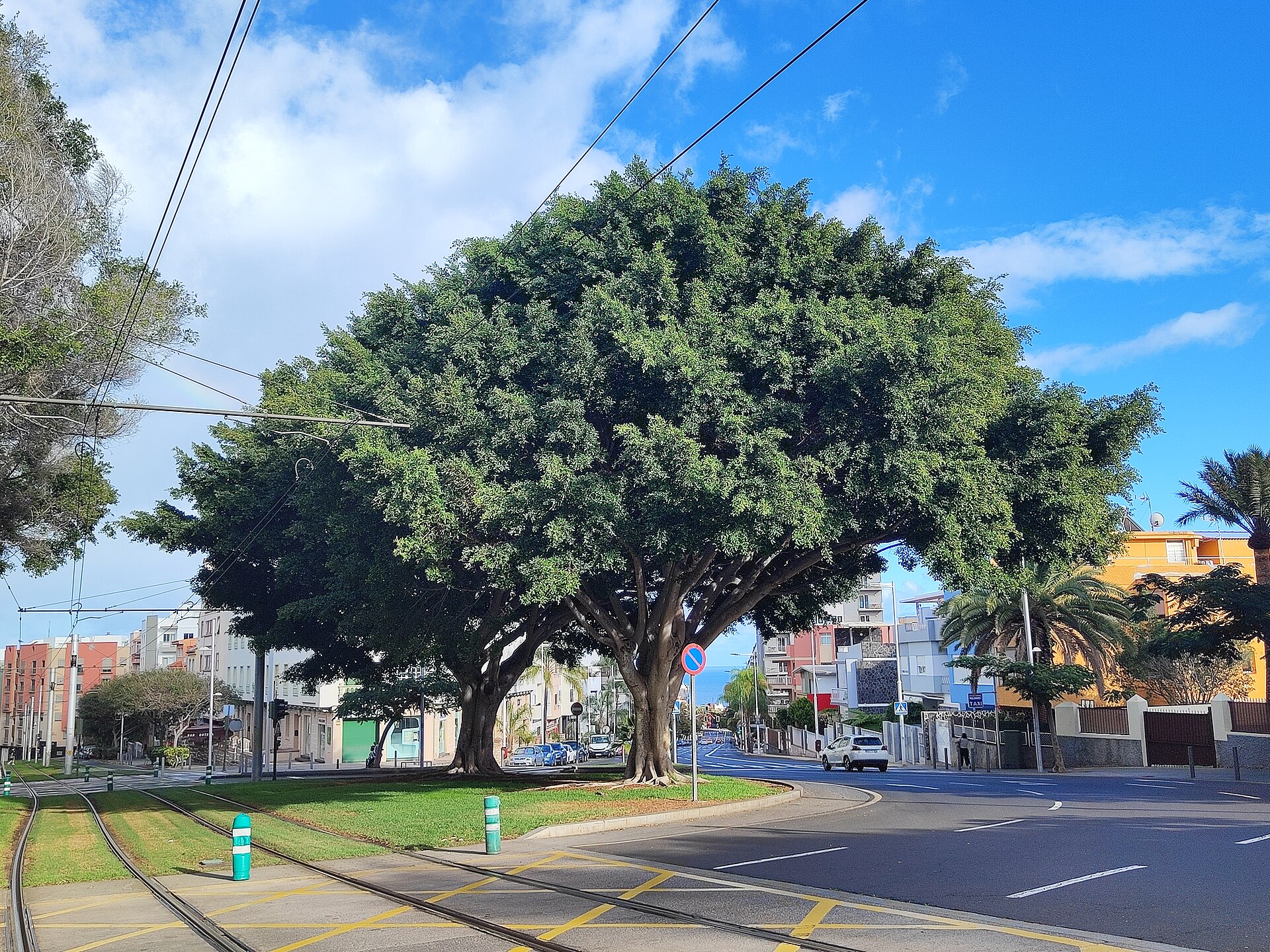 Paisaje de Buenavista, Santa Cruz de Tenerife, Tenerife, Islas Canarias
