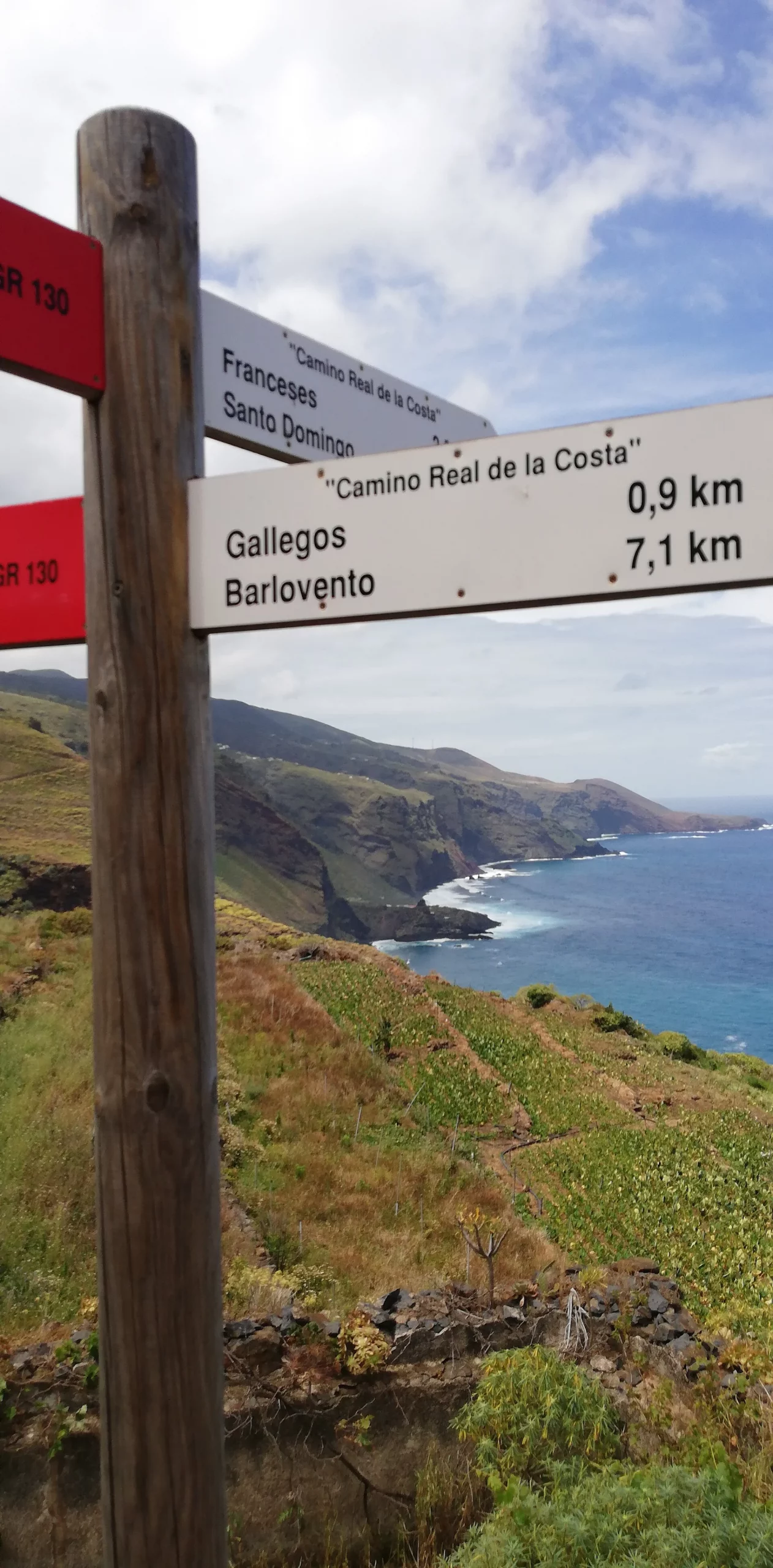 Paisaje de Camino Real, Barlovento, La Palma, Islas Canarias
