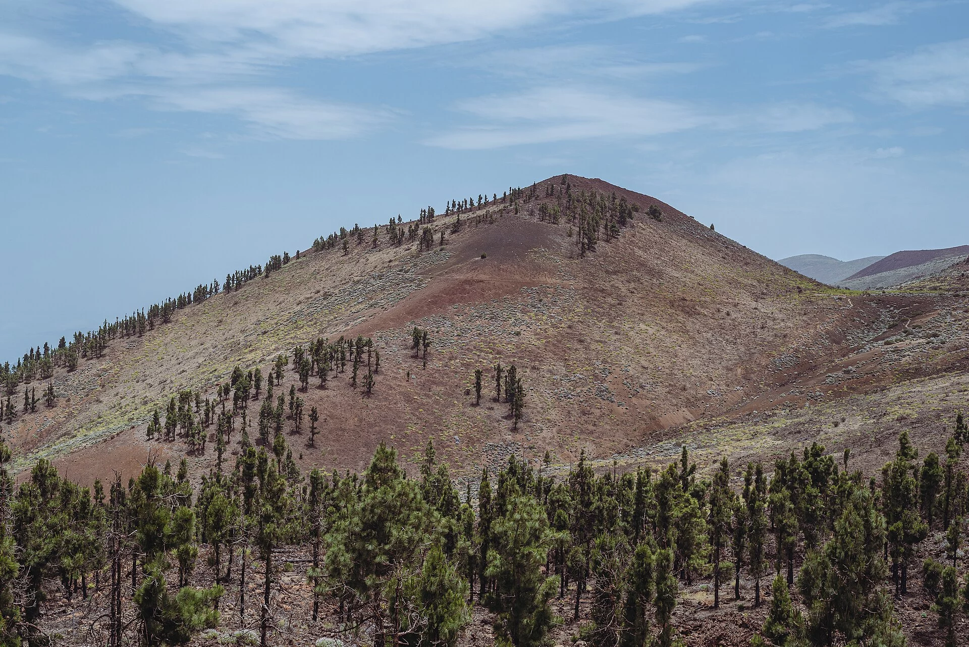 Paisaje de El Jardín, Los Realejos, Tenerife, Islas Canarias