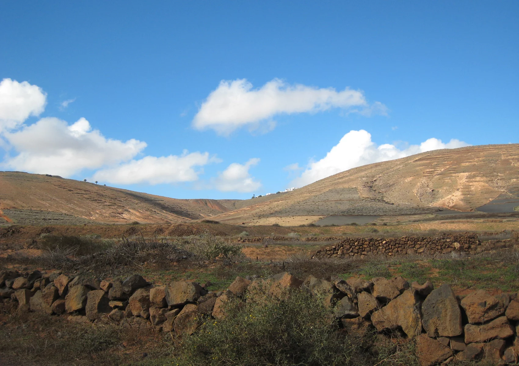 Paisaje de El Mojón, Teguise, Lanzarote, Islas Canarias