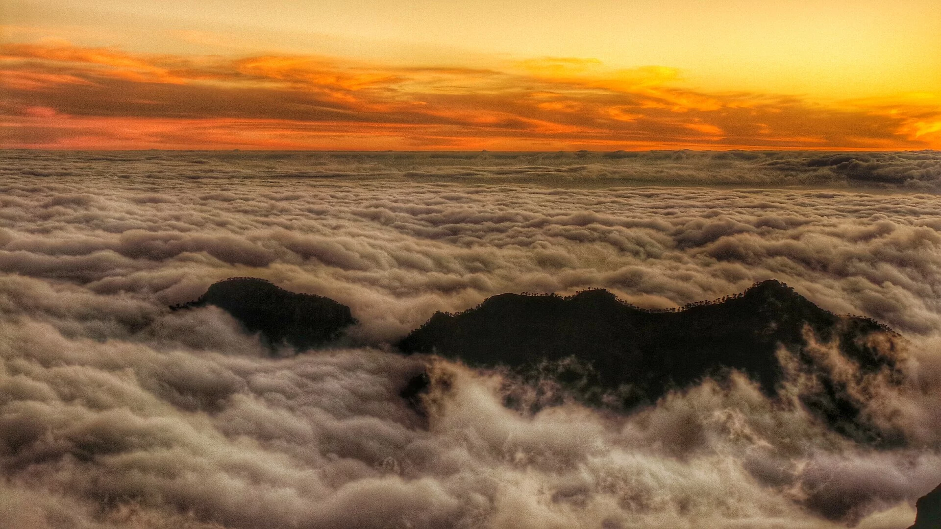 Paisaje de Hoya de Tunte, San Bartolomé de Tirajana, Gran Canaria, Islas Canarias