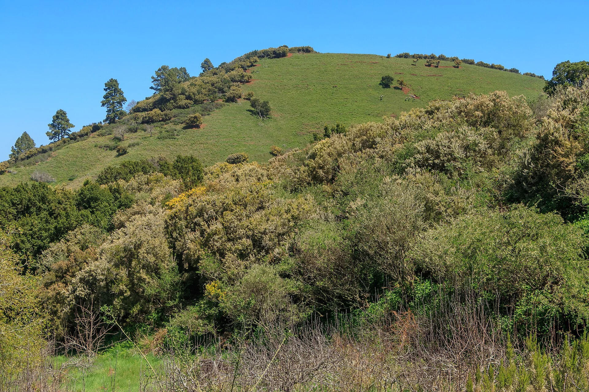 Paisaje de Hoya Grande, Garafía, La Palma, Islas Canarias