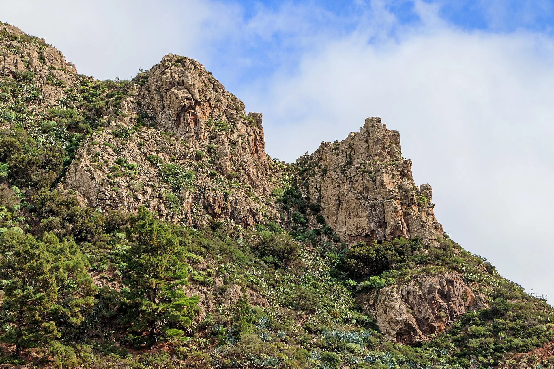 Paisaje de Jerduñe, San Sebastián de La Gomera, La Gomera, Islas Canarias