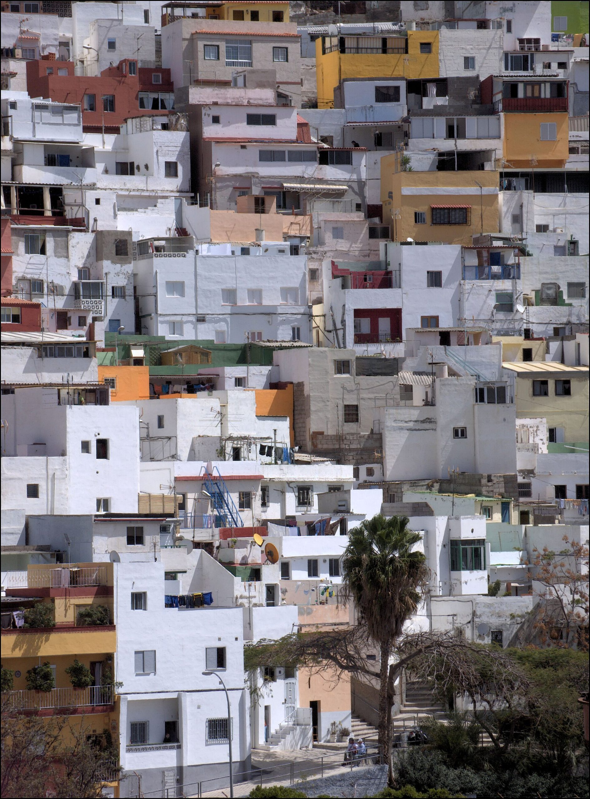 Paisaje de La Alegría, Santa Cruz de Tenerife, Tenerife, Islas Canarias