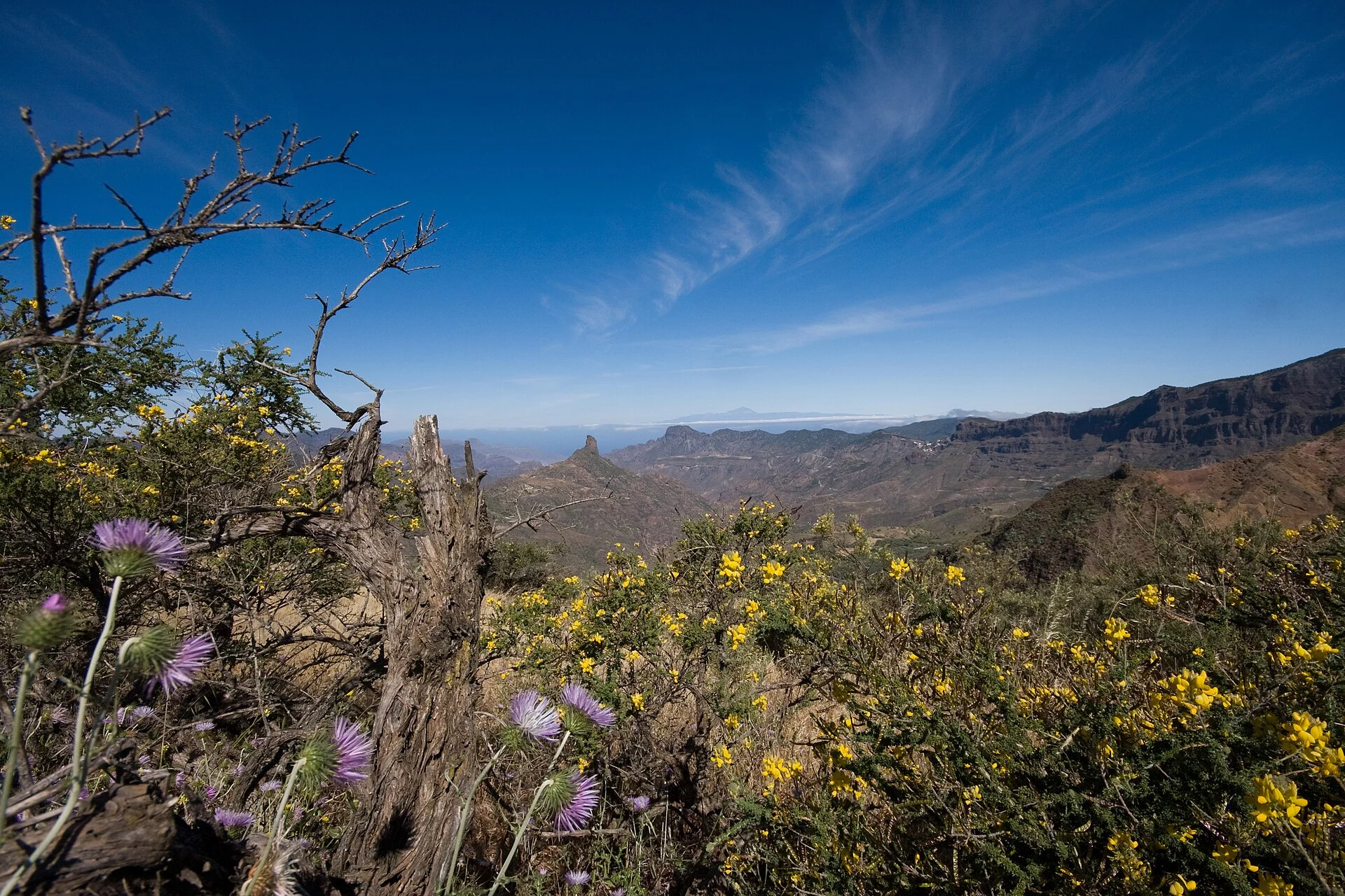 Paisaje de La Degollada, Tejeda, Gran Canaria, Islas Canarias