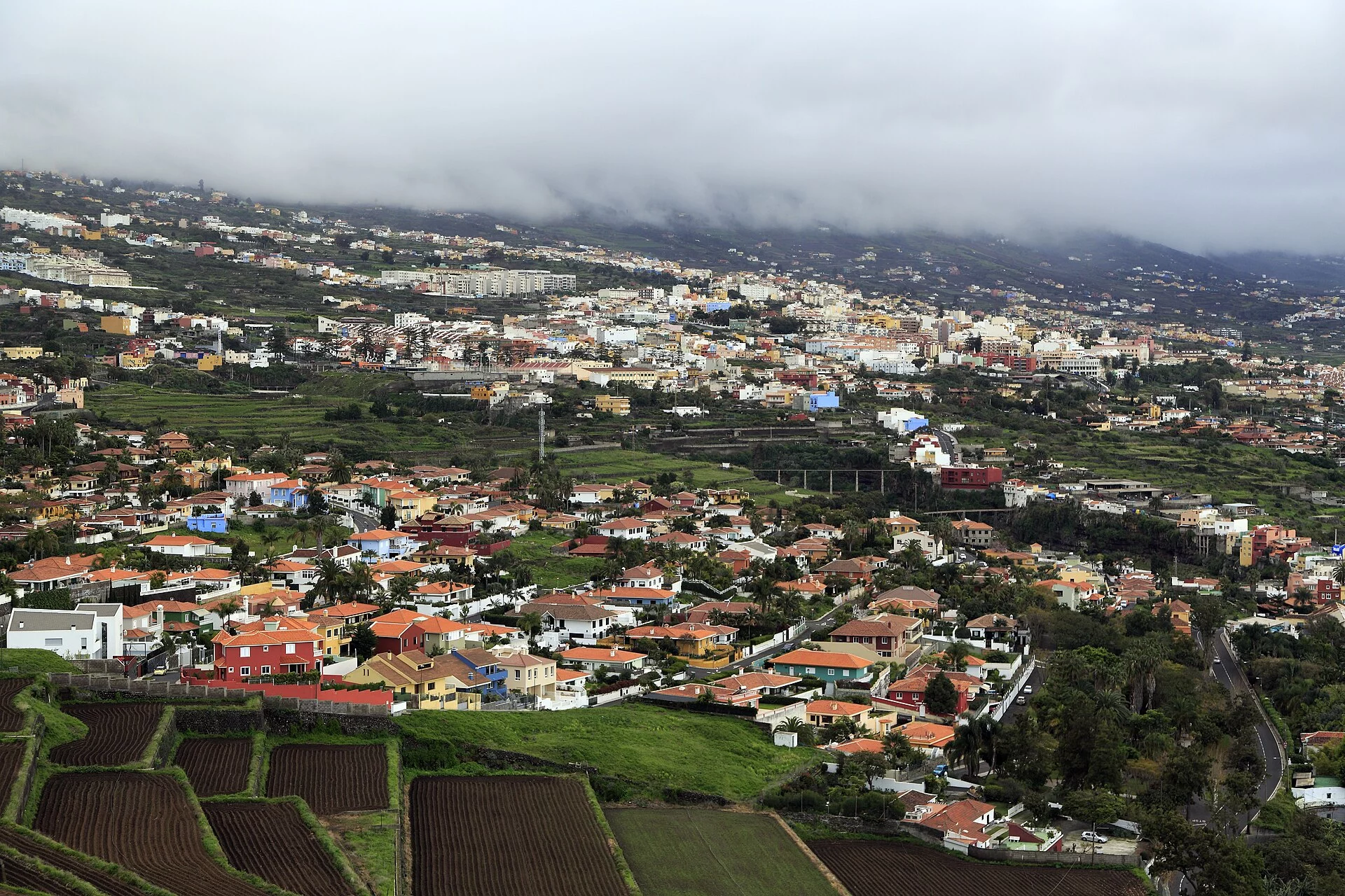 Paisaje de La Florida, La Orotava, Tenerife, Islas Canarias