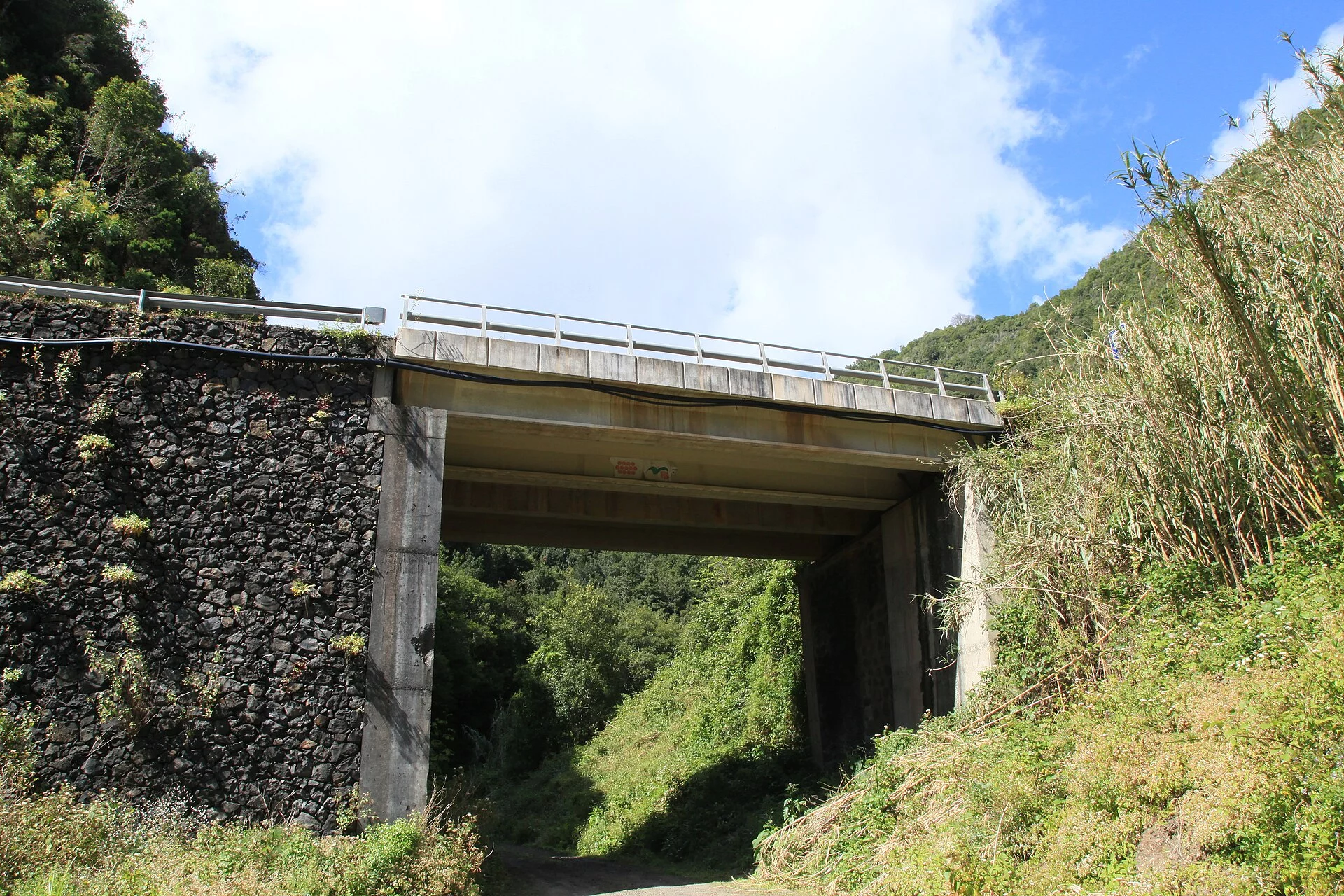 Paisaje de La Galga, Puntallana, La Palma, Islas Canarias