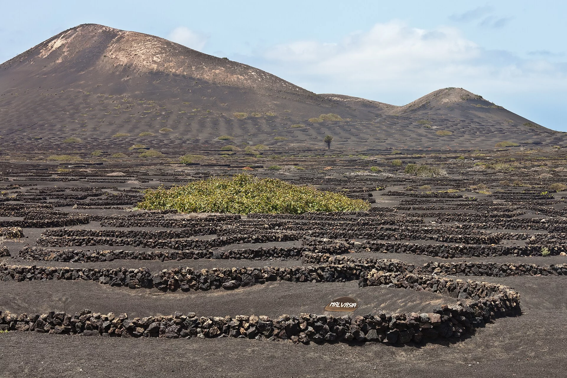 Paisaje de La Geria, Yaiza, Lanzarote, Islas Canarias