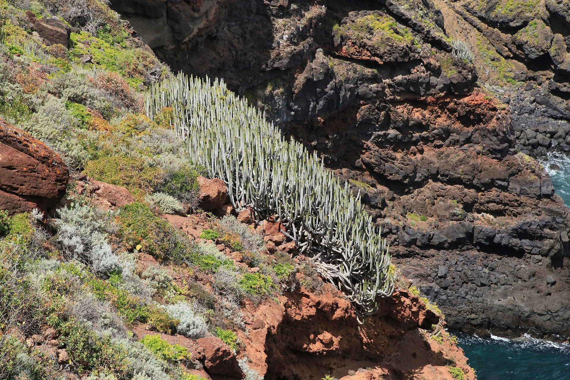Paisaje de La Hoya, Barlovento, La Palma, Islas Canarias