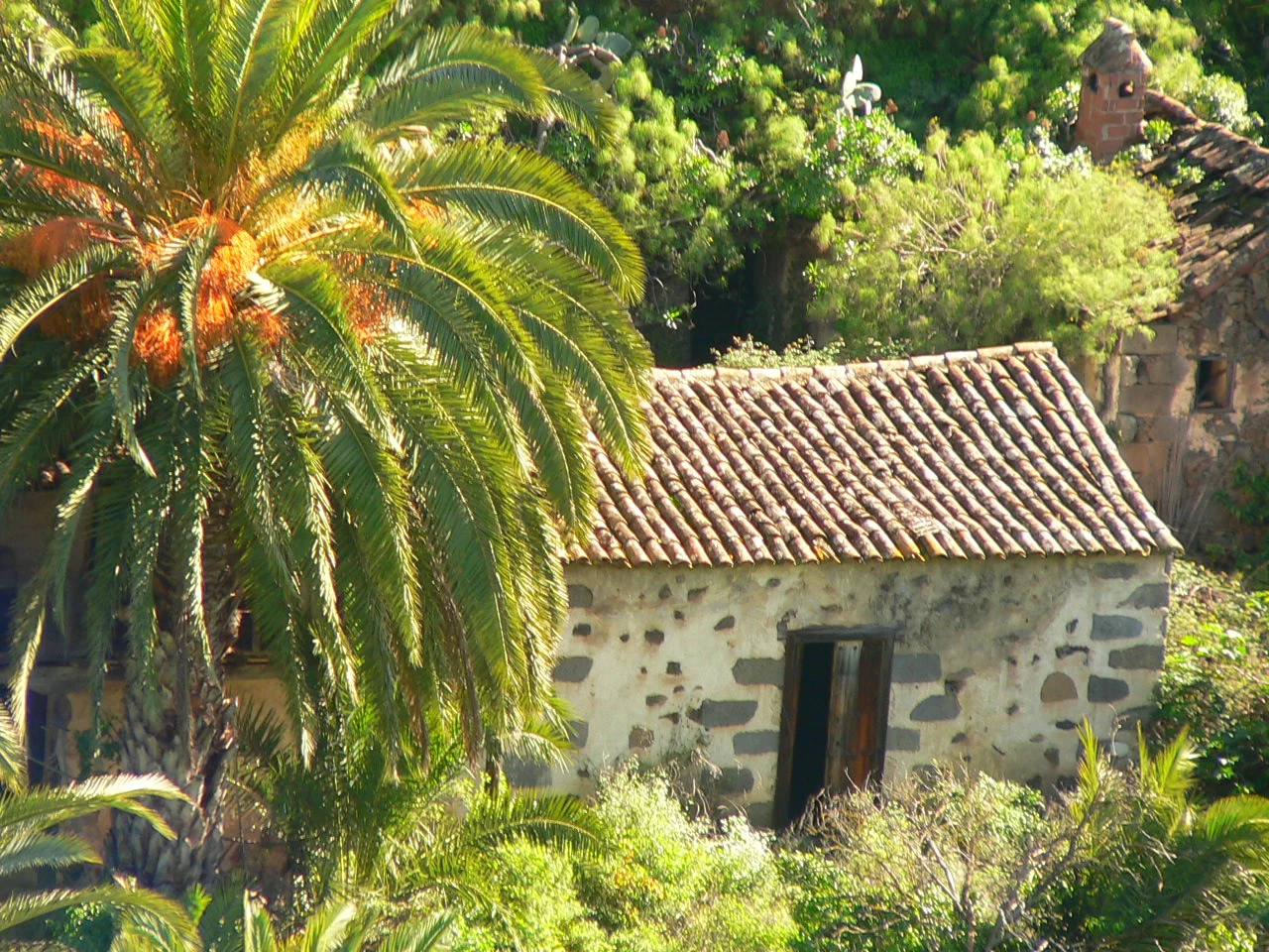 Paisaje de Las Casas, Santa Brígida, Gran Canaria, Islas Canarias