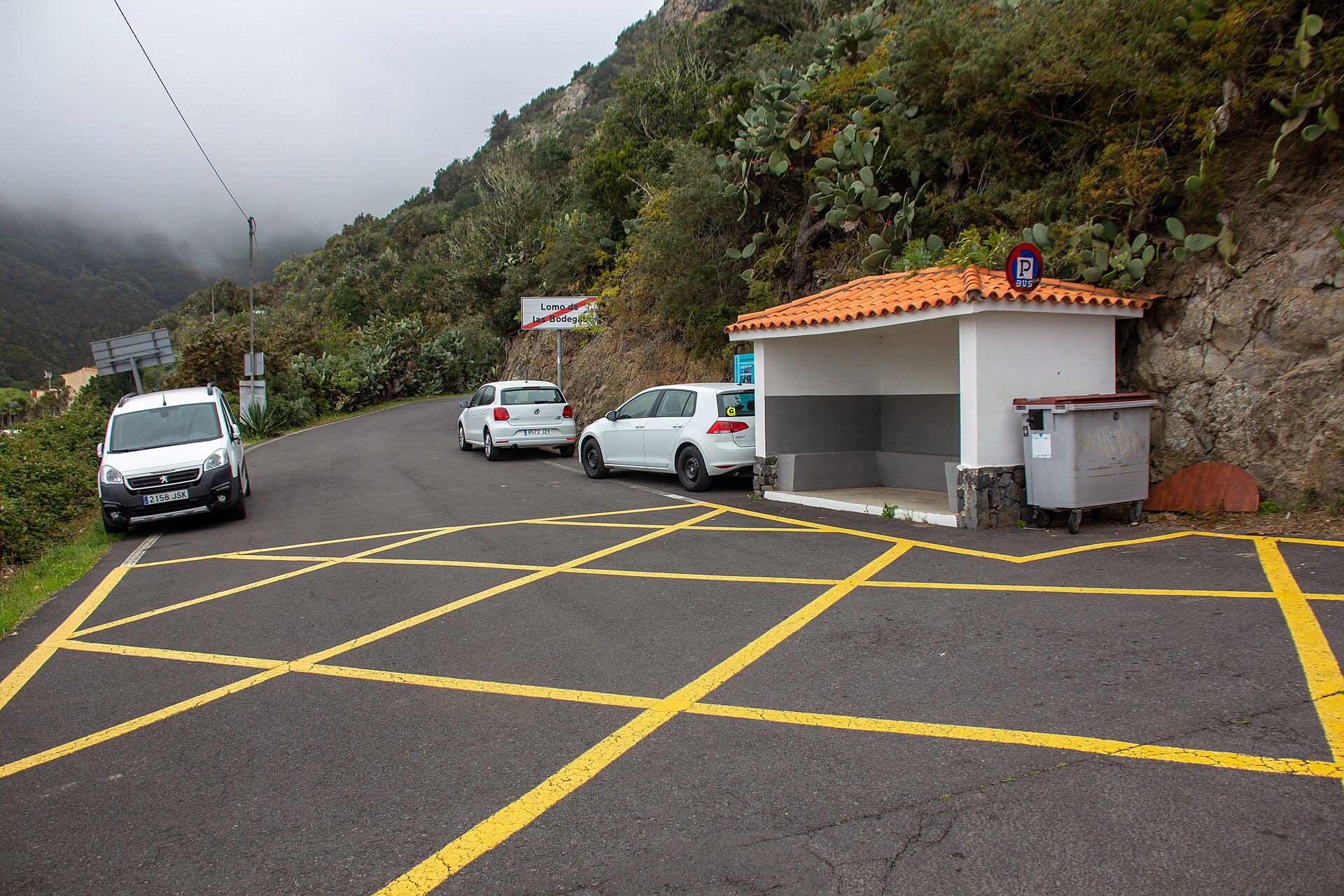 Paisaje de Lomo de las Bodegas, Santa Cruz de Tenerife, Tenerife, Islas Canarias