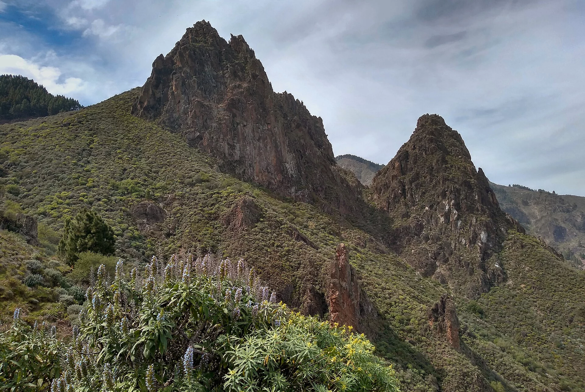 Paisaje de Los Pinos, Valsequillo, Gran Canaria, Islas Canarias