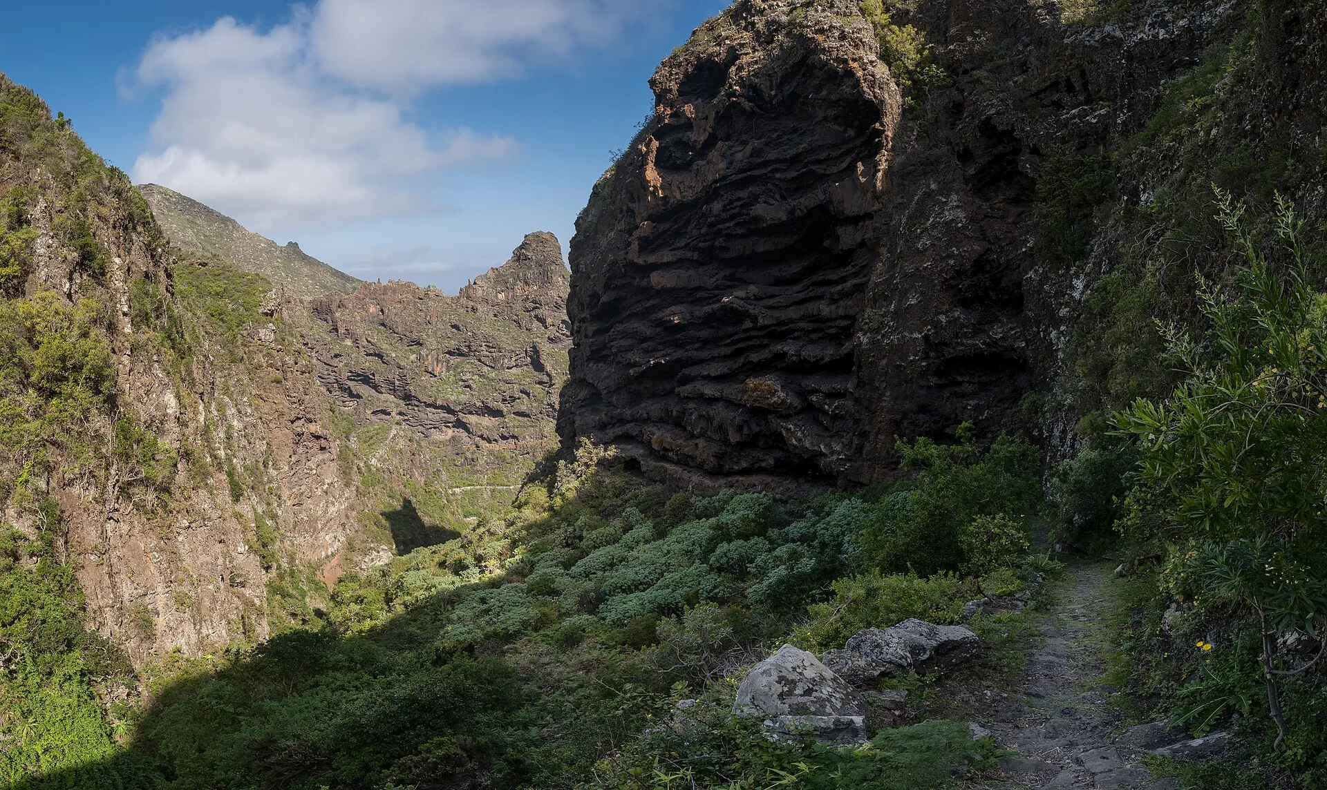 Paisaje de Los Silos, Los Silos, Tenerife, Islas Canarias