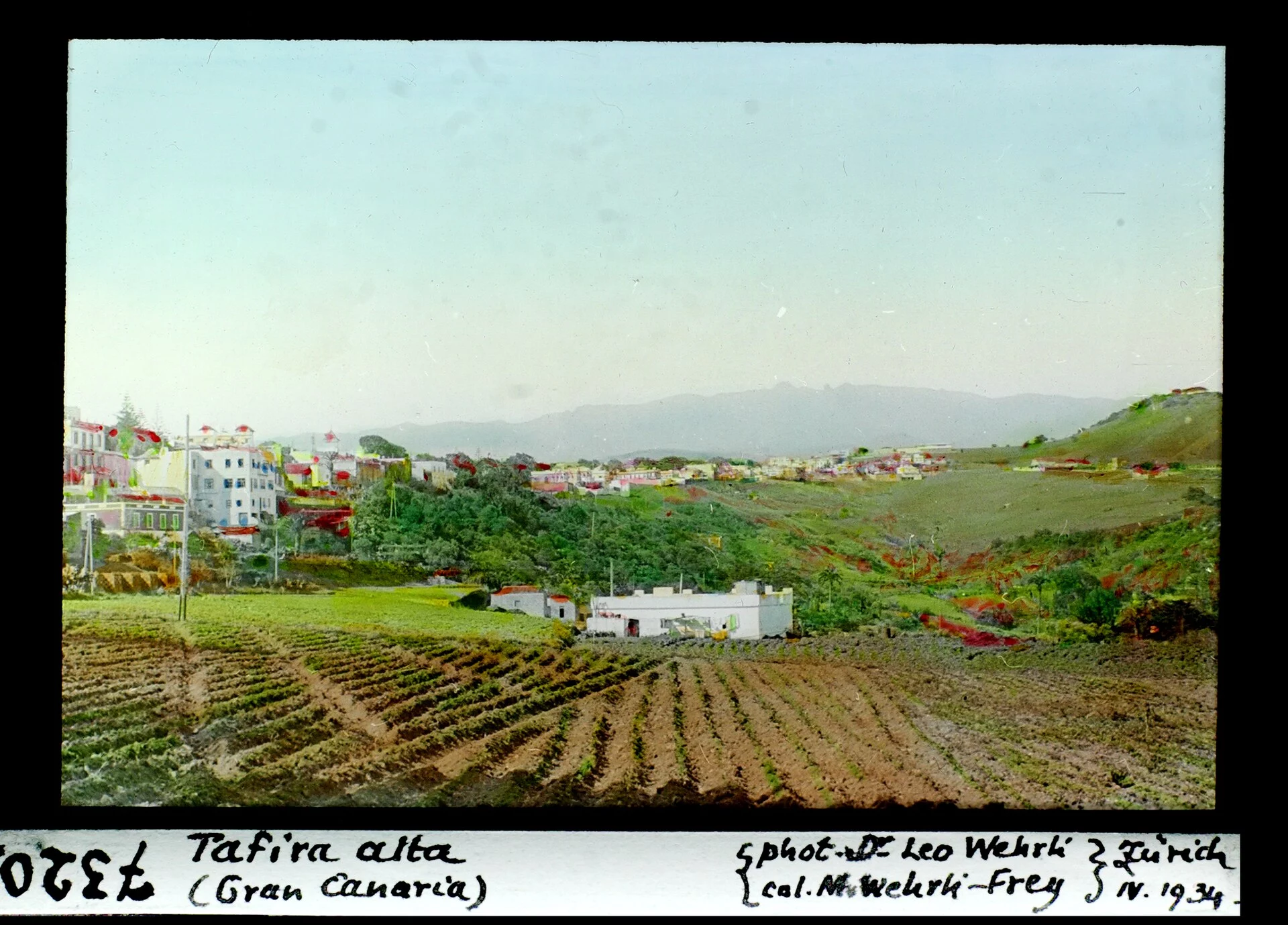 Paisaje de Tafira Alta, Las Palmas de Gran Canaria, Gran Canaria, Islas Canarias