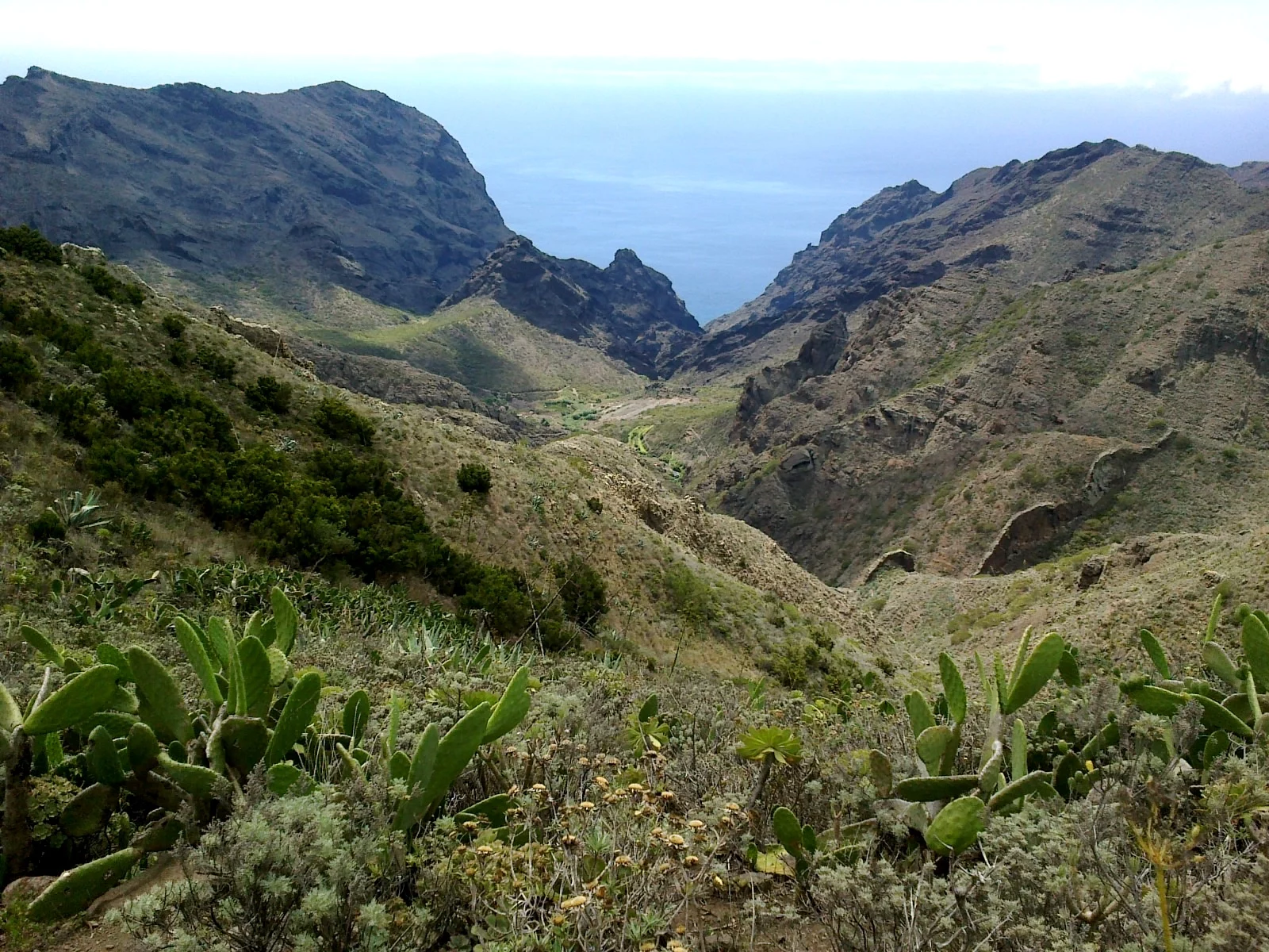 Paisaje de Teno Alto, Buenavista del Norte, Tenerife, Islas Canarias