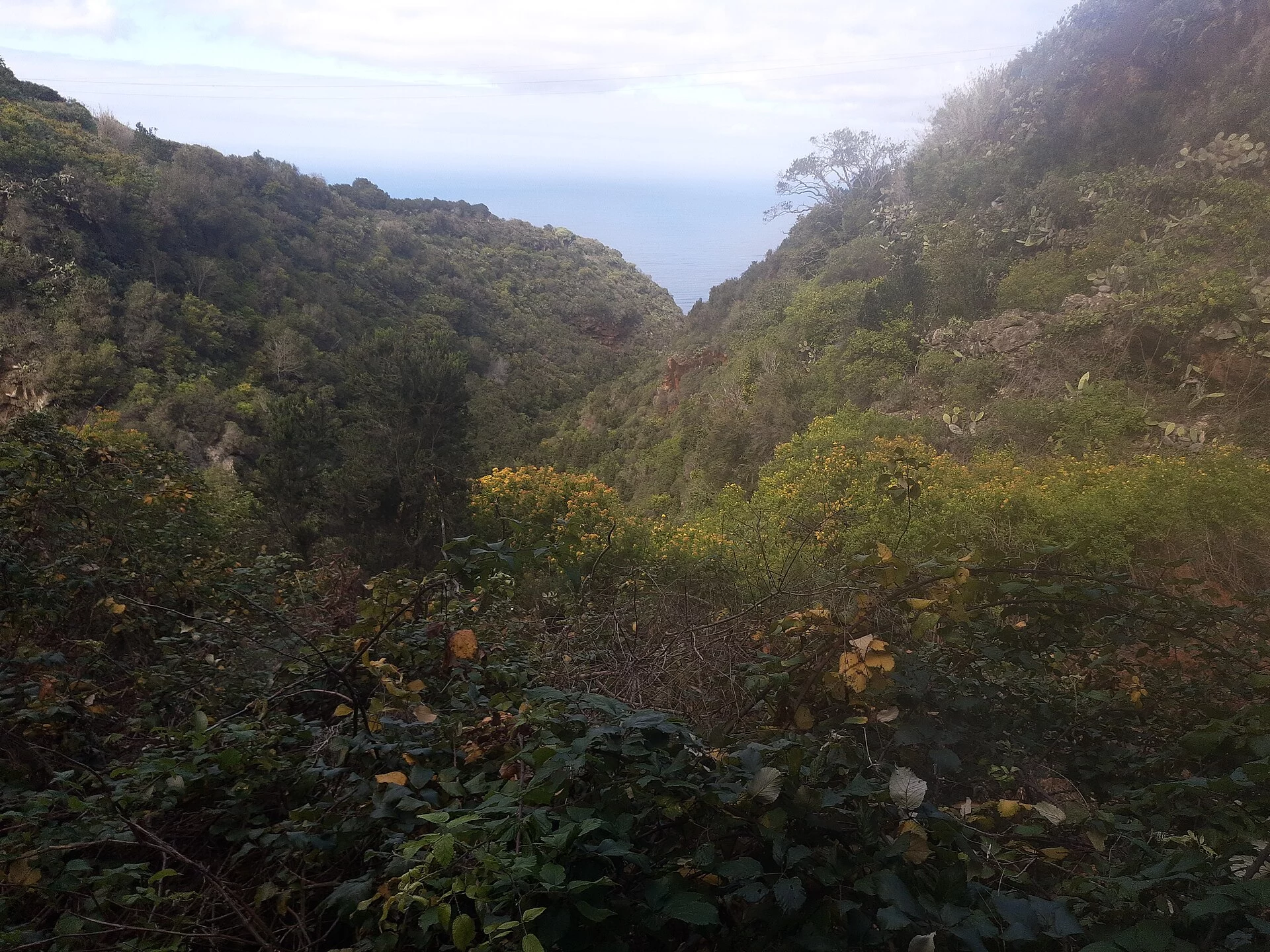 Paisaje de Topaciegas, Barlovento, La Palma, Islas Canarias