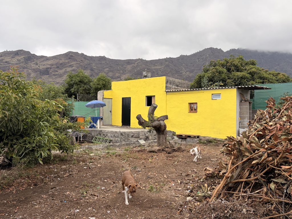 Se vende finca de aguacates con edificación